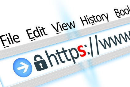 Secured connection link web browser detail